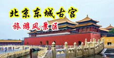 操bb网站中国北京-东城古宫旅游风景区